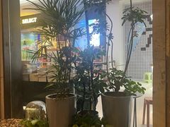 -漫咖啡 (CCPAPK店)