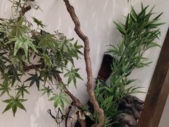 -耳艺采耳·足疗·按摩SPA(市桥店)