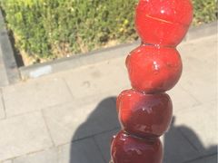 -荷花泰菜(东方新天地店)