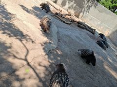 -昆明动物园