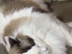 -白兔子密室(长寿路店)