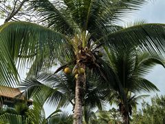 -三亚海棠湾万丽度假酒店