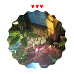 -恐龙探索乐园(磁器口店)