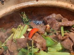 小黄牛肉煲-煲煲好(朝阳门店)