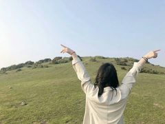 -大姆山草场