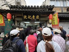 -沈记青团