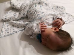 -海豚湾高端月子会所(黄浦店)