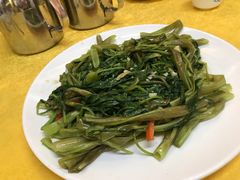 -鸽王世家(东华东路店)