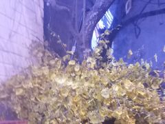 -106餐厅(山水文园店)