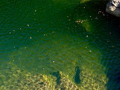 -燕子河大峡谷天坑仙境