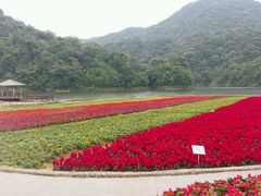 景点-广州市石门国家森林公园