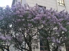-南礼士路(地铁站)