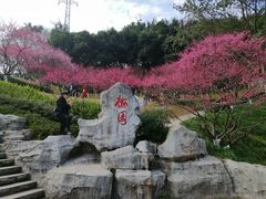 -重庆彩云湖湿地公园