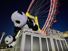 -天津之眼摩天轮