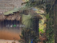 -海南热带野生动植物园