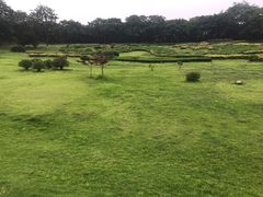 -宜兴龙背山森林公园