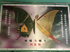 -上海昆虫博物馆