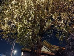 -东江渔村·古典园林·30年粤菜老字号(太和店)