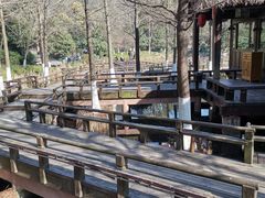 -八卦田遗址公园