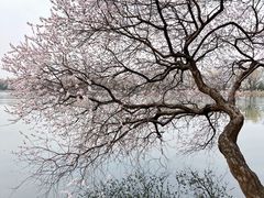 -颐和园
