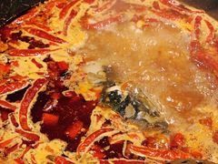 -销魂美蛙鱼头火锅(上海首店)