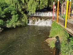 -长白岛森林公园