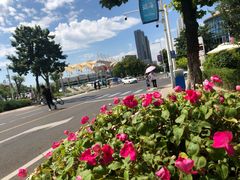 -秦皇岛秦皇国际大酒店