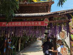 -呀路古热带植物园