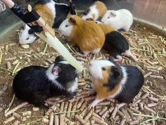 -正佳雨林生态植物园