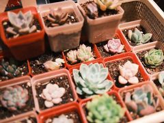 -纪州豚骨酱油拉面(锦延路店)