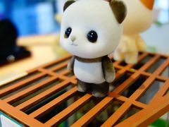 -星光摄影器材城