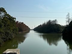 -上海海湾国家森林公园