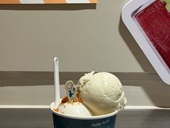 -海比甜店·意式手工冰激淋happy habit gelato