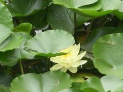 -莲池书院博物馆
