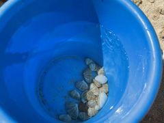 -玫瑰海岸文化旅游度假区