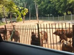 -秦皇岛野生动物园