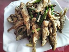 -雁荡老杨土菜馆