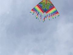 -真牛炭火烤肉(射阳店)