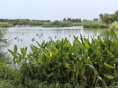 -沙家浜风景区
