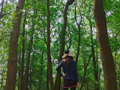 -火炉山森林公园