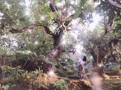 -Chom Cafe and Restaurant