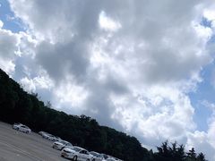 -胜华驾校·小猫学车(银都店)