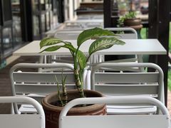 -Local泰莲庭(虹鳟鱼店)