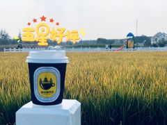 -MUSEO COFFEE咖啡博物馆