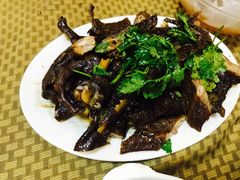 -肥信潮菜(科新路店)