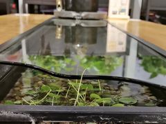 -红糖水都·女生特炖·中式滋补炖(北辰店)