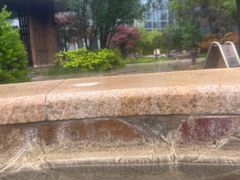 -中家鑫园温泉酒店鑫悦汤泉