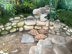 -南宫五洲植物乐园