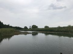 -太湖湖滨国家湿地公园-停车场