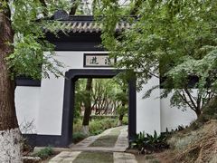 -亭林公园